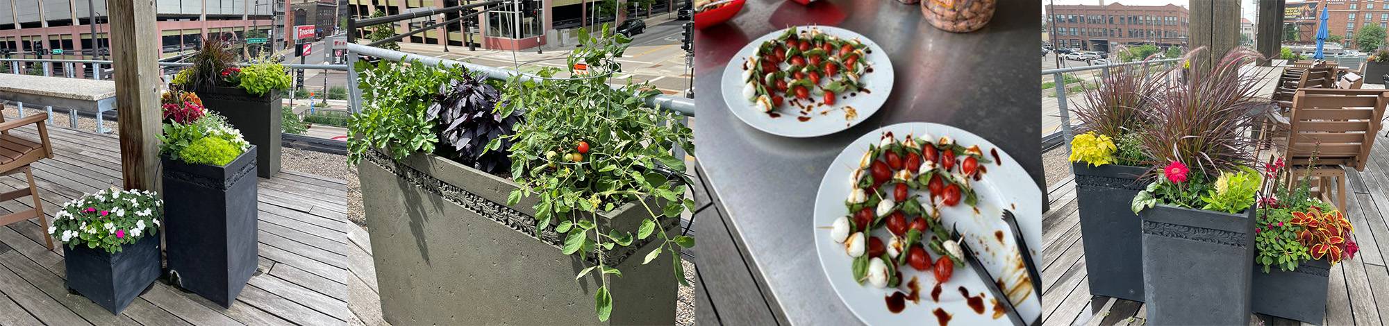 Four images of planters on a Terrace and a platter of caprese salad bites
